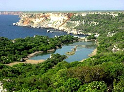 Kavarna
